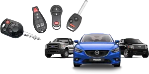 Master Locksmith Store Tampa, FL 813-778-0317 - car-keys-made